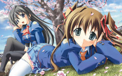 Rule 34 | 2girls, cherry blossoms, koimomo, long hair, multiple girls, sakimine momoka, school uniform, skirt, thighhighs, tokisaka hazuki