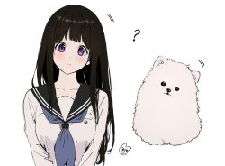 Rule 34 | 1girl, ?, black hair, blunt bangs, blush, chitanda eru, collarbone, expressionless, head tilt, hyouka, long hair, looking at viewer, mery (yangmalgage), motion lines, neckerchief, out of frame, own hands together, pomeranian (dog), purple eyes, school uniform, serafuku, simple background, solo, straight hair, upper body, very long hair, white background
