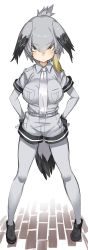 Rule 34 | 10s, 1girl, animal ears, black footwear, black gloves, blush, bodystocking, breast pocket, breasts, closed mouth, collared shirt, commentary request, fingerless gloves, gloves, gradient hair, greatmosu, grey shirt, grey shorts, hair between eyes, hands on own hips, head wings, highres, kemono friends, legs apart, loafers, looking at viewer, medium breasts, multicolored hair, necktie, pantyhose, pocket, shirt, shoebill (kemono friends), shoes, short hair, short sleeves, shorts, sidelocks, slit pupils, solo, standing, streaked hair, tail, tsurime, white necktie, wings, yellow eyes