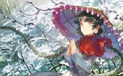 Rule 34 | 1girl, ajirogasa, bare tree, black hair, blunt bangs, bow, bowtie, braid, buttons, capelet, closed mouth, cloud, cloudy sky, collared capelet, dress, frilled capelet, frilled hat, frills, game cg, grey dress, hat, hime cut, long earlobes, long hair, long sleeves, looking ahead, low twin braids, noki (affabile), official art, outdoors, own hands together, red bow, red bowtie, red capelet, red eyes, short dress, sky, smile, snow on headwear, snowing, third-party source, touhou, touhou cannonball, tree, twin braids, upper body, winter, yatadera narumi