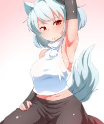 Rule 34 | 1girl, :&lt;, animal ears, arm up, armpits, blush, breasts, crop top, elbow gloves, covered erect nipples, frown, gloves, highres, inubashiri momiji, midriff, navel, red eyes, shirt, sideboob, skindentation, sleeveless, solo, steam, tail, taut clothes, taut shirt, touhou, wavy mouth, white hair, wolf ears, wolf tail, yocchi (tenyunkel)