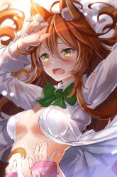 Rule 34 | 1girl, 1other, animal ear fluff, animal ears, arms up, blush, bow, bowtie, breasts, brown hair, cleavage, collared shirt, commentary request, covered erect nipples, fang, fox ears, fuku kitsune (fuku fox), green bow, green bowtie, hair between eyes, hair spread out, hands on another&#039;s stomach, highres, korin (shironeko project), long hair, long sleeves, medium breasts, no bra, open clothes, open mouth, open shirt, see-through, shironeko project, shirt, solo, sweat, upper body, wet, wet clothes, wet shirt, white shirt, yellow eyes