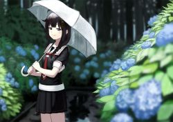 Rule 34 | 10s, 1girl, ahoge, bad id, bad pixiv id, black hair, black serafuku, black skirt, blue eyes, blue flower, blurry, blurry background, blush, braid, breasts, commentary request, cowboy shot, flower, hair ornament, hair over shoulder, hair ribbon, holding, holding umbrella, hydrangea, kantai collection, looking at viewer, medium hair, necktie, puddle, rain, red necktie, red ribbon, ribbon, school uniform, serafuku, shigure (kancolle), shigure kai ni (kancolle), skirt, small breasts, smile, smug, solo, transparent, transparent umbrella, tress ribbon, umbrella, under umbrella, wasabi60, white umbrella