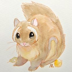 Rule 34 | animal, animal focus, bell, commentary request, fluefluekoubo26, highres, jingle bell, leaf, looking at viewer, no humans, original, painting (medium), signature, simple background, squirrel, tail raised, traditional media, watercolor (medium), whiskers, white background