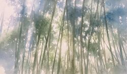 Rule 34 | bamboo, bamboo forest, bush, day, forest, highres, leaf, nature, no humans, original, plant, plant focus, scenery, sunlight, toyonaga ryouhei