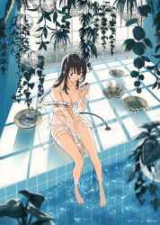 Rule 34 | 1girl, ao fujimori, bare legs, bare shoulders, barefoot, bikini, black eyes, black hair, blood, breasts, cleavage, commentary request, day, hanging plant, highres, horns, indoors, jacket, large breasts, long hair, medium breasts, nosebleed, original, plant, pool, potted plant, see-through, see-through jacket, shadow, sitting, solo, sunlight, swimsuit, tail, transparent jacket, water, white bikini, window