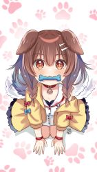 Rule 34 | + +, 1girl, :3, animal collar, animal ears, blush, bone hair ornament, braid, brown eyes, brown hair, brown tail, cartoon bone, collar, dog ears, dog girl, dog tail, dress, fangs, hair between eyes, hair ornament, hair over shoulder, hairclip, highres, hololive, inugami korone, inugami korone (1st costume), jacket, long hair, looking at viewer, low twin braids, maroonabyss, mouth hold, off shoulder, open clothes, open jacket, red collar, side braids, sidelocks, sleeveless, sleeveless dress, smile, sparkling eyes, star-shaped pupils, star (symbol), symbol-shaped pupils, tail, twin braids, virtual youtuber, white dress, yellow jacket