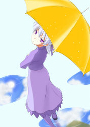 Rule 34 | 1girl, darker than black, dress, female focus, from behind, outdoors, pokopen, ponytail, puddle, purple eyes, ribbon, silver hair, sky, solo, umbrella, yin (darker than black)