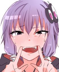Rule 34 | 1girl, blush, cheek pull, commentary, embarrassed, fangs, hair between eyes, hair ornament, hibimegane, mouth pull, nose blush, open mouth, portrait, purple eyes, purple hair, short hair with long locks, simple background, solo, upper body, vocaloid, voiceroid, white background, yuzuki yukari