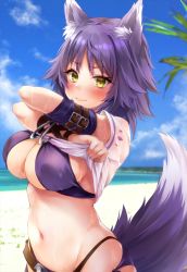 Rule 34 | 1girl, animal ear fluff, animal ears, arm belt, beach, bikini, blue sky, blush, breasts, closed mouth, clothes lift, day, eyelashes, highres, jewelry, large breasts, lifting own clothes, looking at viewer, makoto (princess connect!), makoto (summer) (princess connect!), marisasu (marisa0904), medium hair, navel, ocean, princess connect!, purple bikini, purple hair, shirt, shirt lift, short sleeves, sky, solo, swimsuit, tail, tail raised, teeth, upper teeth only, white shirt, wolf ears, wolf girl, wolf tail, yellow eyes