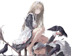 Rule 34 | 2girls, absurdres, apron, barefoot, beak hold, bird, bird on hand, black bird, black dress, blonde hair, broom, crow, dress, frilled dress, frills, hand up, highres, holding, holding broom, jenmin12, lips, long hair, looking to the side, lying, maid, maid apron, maid headdress, mouth hold, multiple girls, original, parted lips, ribbon, simple background, sitting, white apron, white background, white ribbon, yellow eyes