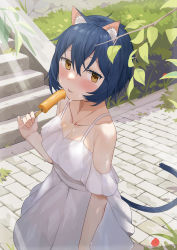 Rule 34 | 1girl, absurdres, animal ears, bare arms, bare shoulders, blue hair, blush, branch, cat ears, cat girl, cat tail, collarbone, commentary request, cowboy shot, dress, eating, flower, food, grass, hand up, highres, holding, holding food, leaf, light rays, looking at viewer, off-shoulder dress, off shoulder, orange eyes, original, outdoors, pinky out, popsicle, red flower, sen (sennosenn1127), short hair, solo, spaghetti strap, stairs, sunbeam, sunlight, sweat, tail, tongue, tongue out, white dress