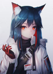 Rule 34 | 1girl, animal ear fluff, animal ears, arknights, black hair, buckle, cigarette, gloves, hair between eyes, heart, heart necklace, highres, holding, holding cigarette, inosia, jacket, jewelry, long hair, long sleeves, looking at viewer, multicolored hair, name tag, necklace, official alternate costume, orange eyes, parted lips, red hair, smoke, snap-fit buckle, solo, texas (arknights), texas (winter messenger) (arknights), white jacket, wolf ears, wrist cuffs