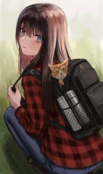 Rule 34 | 1girl, absurdres, animal, animal ears, backpack, bag, blue pants, brown hair, cat, checkered clothes, closed mouth, denim, gold can, grass, green eyes, highres, jeans, long hair, long sleeves, looking at viewer, original, outdoors, pants, shirt, solo, squatting