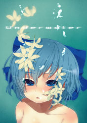Rule 34 | 1girl, absurdres, bad id, bad pixiv id, blue eyes, blue hair, bow, cirno, dancho (dancyo), english text, face, flower, hair bow, highres, jitome, matching hair/eyes, nude, short hair, skull.03, solo, touhou, underwater