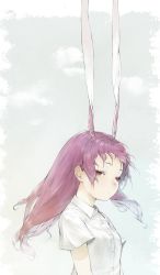 Rule 34 | 1girl, amo (silent bomb19), animal ears, bad id, bad twitter id, rabbit ears, closed mouth, collared shirt, expressionless, extra ears, floating hair, grey background, half-closed eyes, highres, long hair, purple hair, red eyes, reisen udongein inaba, shirt, short sleeves, simple background, solo, touhou, upper body, very long ears, white shirt, wind, wing collar