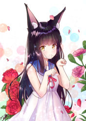 Rule 34 | 1girl, alternate costume, animal ears, azur lane, black hair, blunt bangs, casual, commentary request, contemporary, dress, flower, fox ears, long hair, looking at viewer, m ko (maxft2), nagato (azur lane), paw pose, petals, pink flower, pink rose, red flower, red rose, rose, sailor dress, sidelocks, smile, solo, yellow eyes