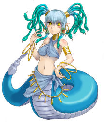 Rule 34 | 1girl, kenkou cross, lamia, medusa (monster girl encyclopedia), monster girl, monster girl encyclopedia, snake hair, solo
