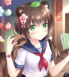 Rule 34 | 1girl, :o, animal, animal ears, animal on shoulder, blue sailor collar, blurry, blurry background, blush, breasts, brown hair, commentary request, depth of field, flower, green eyes, hair between eyes, hair flower, hair ornament, hand up, holding, kohinata hoshimi, leaf, leaf on head, long hair, looking at viewer, low twintails, neckerchief, original, parted lips, pink flower, raccoon ears, red neckerchief, sailor collar, school uniform, serafuku, shirt, short sleeves, small breasts, solo, tanuki, twintails, upper body, very long hair, white shirt
