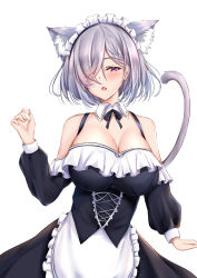 Rule 34 | 1girl, absurdres, animal ear fluff, animal ears, apron, bare shoulders, black dress, black neckwear, blurry, braid, breasts, cat ears, cat girl, cat tail, cleavage, cross-laced clothes, curled fingers, depth of field, detached sleeves, dress, fang, frilled apron, frilled sleeves, frills, hair over one eye, hand up, highres, large breasts, maid, maid apron, maid headdress, match (scp115), medium hair, mole, mole on breast, mole under mouth, open mouth, original, parted bangs, purple eyes, silver hair, simple background, solo, tail, tail raised, white apron, white background