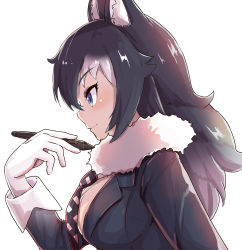 Rule 34 | 1girl, animal ear fluff, animal ears, artist request, black hair, blue eyes, breasts, cleavage, commentary, commentary request, fur collar, gloves, grey wolf (kemono friends), highres, kemono friends, large breasts, long hair, looking away, multicolored hair, pen, profile, simple background, solo, two-tone hair, white background, white gloves, white hair, wolf ears, wolf girl