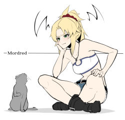 Rule 34 | 1girl, annoyed, black footwear, blonde hair, boots, breasts, cat, character name, commentary request, fate (series), green eyes, hand on own cheek, hand on own face, highres, jewelry, mordred (fate), mordred (fate) (all), mordred (fate/apocrypha), mordred (memories at trifas) (fate), mordred (swimsuit rider) (fate), necklace, seiza, simple background, sitting, small breasts, takatun223, translation request, white background