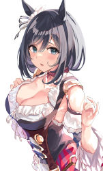 Rule 34 | 1girl, absurdres, animal ears, black hair, blue eyes, bow, breasts, choker, cleavage, collarbone, commentary request, detached sleeves, ear ribbon, eishin flash (umamusume), hair between eyes, highres, horse ears, horse girl, large breasts, looking at viewer, open mouth, red choker, short hair, solo, temir, umamusume, white background