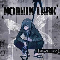 Rule 34 | 1boy, album cover, black jacket, black pants, blue eyes, cover, dragonfly wings, drawstring, english text, fate/grand order, fate (series), feet, hybrid theory, jacket, linkin park, male focus, medium hair, oberon (fate), oberon (moody summer oberon) (fate), pants, parody, poster parody, sandals, squatting, uglykao, wings
