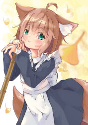 Rule 34 | 1girl, ahoge, animal ear fluff, animal ears, apron, black dress, blush, brown hair, closed mouth, collared dress, commentary request, dress, ginkgo leaf, green eyes, hair between eyes, highres, leaf, long sleeves, looking at viewer, maid, maid apron, manabe mana, original, own hands together, puffy long sleeves, puffy sleeves, sleeves past wrists, solo, tail, white apron