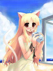 Rule 34 | animal ears, blonde hair, blush, cat ears, cat tail, drinking, glasses, long hair, red eyes, ribbon, shin (new), solo, tail