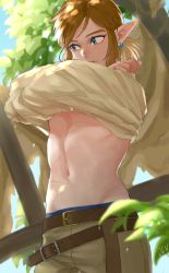 Rule 34 | 1boy, absurdres, bad id, bad pixiv id, beige shirt, belt, blue eyes, blue male underwear, blurry, blurry background, brown belt, brown hair, brown pants, closed mouth, commentary request, cowboy shot, earrings, hands up, highres, ivy (sena0119), jewelry, link, looking to the side, male focus, male underwear, navel, nintendo, outdoors, pants, pointy ears, ponytail, scar, solo, stomach, sweat, the legend of zelda, the legend of zelda: breath of the wild, tree, underwear, undressing
