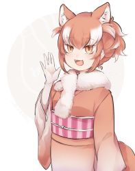 Rule 34 | 10s, 1girl, adapted costume, alternate hairstyle, animal ears, blush, brown eyes, brown hair, elbow gloves, extra ears, fang, fur collar, gloves, hair up, japanese clothes, japanese wolf (kemono friends), kemono friends, kimono, long sleeves, multicolored hair, open mouth, sash, short hair, solo, tail, tatsuno newo, white hair, wolf ears, wolf tail