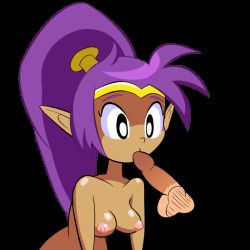 Rule 34 | 1girl, animated, animated gif, black eyes, breasts, collarbone, dark skin, disembodied penis, erection, fellatio, fuppy-jr, leaning forward, long hair, medium breasts, nipples, nude, oral, penis, pointy ears, ponytail, purple hair, saliva, shantae, shantae (series), shiny skin, solo, testicles, tiara, transparent background, uncensored, upper body, very long hair