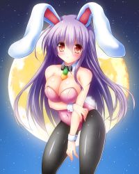 Rule 34 | 1girl, animal ears, arm support, ascot, bare arms, bare shoulders, between breasts, black pantyhose, black ribbon, blush, blush stickers, breast hold, breasts, carrot, choker, cleavage, covered navel, crescent, food, fruit, full moon, highres, large breasts, leaning forward, leotard, long hair, looking at viewer, moon, navel, open mouth, osashin (osada), pantyhose, playboy bunny, purple hair, rabbit, rabbit ears, rabbit girl, red eyes, reisen udongein inaba, ribbon, smile, solo, sweatdrop, thigh gap, touhou, very long hair, wrist cuffs