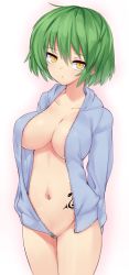 Rule 34 | 10s, 1girl, arms behind back, bad id, bad pixiv id, blue shirt, breasts, cleavage, closed mouth, convenient censoring, cowboy shot, green hair, groin, hikage (senran kagura), hood, hoodie, large breasts, long sleeves, looking at viewer, naked hoodie, navel, no bra, open clothes, open shirt, senran kagura, shirt, short hair, slit pupils, solo, standing, tattoo, white background, yellow eyes, yoi naosuke