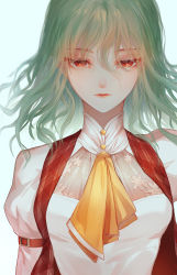 Rule 34 | 1girl, adapted costume, ascot, blurry, breasts, closed mouth, depth of field, expressionless, green hair, hair between eyes, highres, juliet sleeves, kazami yuuka, light blush, lips, long hair, long sleeves, looking at viewer, medium breasts, puffy sleeves, red eyes, red vest, simple background, solo, touhou, upper body, vest, wanou, white background, yellow ascot
