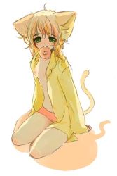 Rule 34 | 1girl, animal ears, blush, breasts, cat ears, cat tail, doughnut, food, green eyes, mouth hold, open clothes, open shirt, shirt, sitting, small breasts, solo, tail