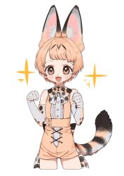 Rule 34 | 1girl, :3, animal ears, bare shoulders, belt, blonde hair, blush, blush stickers, bow, bowtie, cat ears, cat girl, cat tail, cowboy shot, cropped legs, dot nose, elbow gloves, extra ears, fang, flat chest, gloves, happy, highres, kemono friends, legs apart, looking at viewer, notora, open mouth, serval (kemono friends), serval print, shirt, short hair, shorts, simple background, sleeveless, sleeveless shirt, smile, solo, standing, star (symbol), tail, tareme, white background, yellow eyes