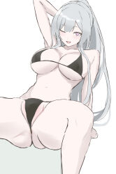 1girl ak-12_(girls&#039;_frontline) alternate_costume artificial_eye bikini black_bikini breasts ff_frbb122 girls&#039;_frontline grey_hair highres large_breasts mechanical_eye navel one_eye_closed ponytail simple_background solo spread_legs swimsuit white_background