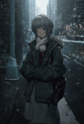 Rule 34 | 1girl, absurdres, bag, black bag, black jacket, blunt bangs, blurry, bright pupils, brown eyes, brown hair, building, carrying bag, closed mouth, day, depth of field, feet out of frame, fur trim, grey skirt, highres, hood, hood down, jacket, light smile, long hair, looking at viewer, original, outdoors, overcast, own hands together, road, scarf, sidelocks, sidewalk, skirt, sky, sleeves past fingers, sleeves past wrists, snowing, solo, standing, street, traffic light, wang-xi, white pupils, white scarf