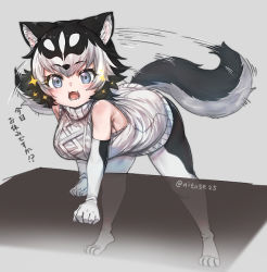 Rule 34 | 1girl, :3, animal ears, bare shoulders, bent over, black gloves, black hair, black pantyhose, blue eyes, blush, dog ears, dog girl, dog tail, elbow gloves, fang, fictional persona, gloves, kemono friends, looking at viewer, multicolored hair, nyifu, open mouth, original, pantyhose, short hair, sleeveless, solo, sparkle, sweater, sweater vest, tail, tail wagging, translation request, two-tone gloves, two-tone hair, two-tone legwear, white gloves, white hair, white pantyhose, white sweater