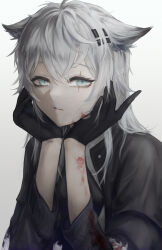 Rule 34 | 1girl, aiv, animal ears, arknights, black gloves, blood, blood on clothes, blood on face, blue eyes, fur trim, gloves, hands on own cheeks, hands on own face, highres, lappland (arknights), long sleeves, looking at viewer, parted lips, scar, scar across eye, scar on face, simple background, solo, upper body, white background, wolf ears
