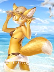 Rule 34 | 1girl, :3, adjusting clothes, adjusting headwear, agnes (fantastic mr. fox), ancesra, animal, animal ear fluff, animal ears, animal nose, artist name, ass, back, bare shoulders, bikini, bird, blue background, blue sky, boat, body fur, breasts, brown bikini, brown hat, closed mouth, cloud, cowboy shot, day, ears through headwear, fantastic mr. fox, female focus, fox ears, fox girl, fox tail, freckles, from behind, furry, furry female, gradient sky, hands up, hat, highres, horizon, legs apart, looking at viewer, looking back, motion blur, ocean, outdoors, patreon username, redrawn, sailboat, sarong, seagull, see-through, sky, small breasts, snout, solo, standing, straw hat, sun hat, swimsuit, tail, two-tone fur, water, watercraft, watermark, web address, white fur, white sarong, yellow eyes, yellow fur