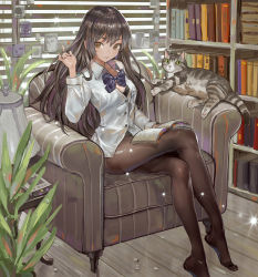 Rule 34 | 1girl, armchair, black bra, black pantyhose, window blinds, blouse, book, bookmark, bookshelf, bow, bra, bra peek, brown eyes, canking, cat, chair, collared shirt, crossed legs, dress shirt, hand in own hair, highres, indoors, lamp, long hair, long sleeves, looking at viewer, no pants, no shoes, open book, original, pantyhose, photo (object), plant, shirt, sitting, smile, solo, sparkle, thighband pantyhose, unbuttoned, underwear, white shirt, wooden floor