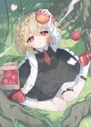 Rule 34 | 1girl, absurdres, apple, arm up, basket, black skirt, black vest, blonde hair, blush, bug, butterfly, chinese commentary, closed mouth, collared shirt, commentary request, food, frilled skirt, frills, from above, fruit, full body, grass, hair between eyes, highres, holding, holding food, holding fruit, insect, lips, long sleeves, looking at object, looking up, necktie, on ground, pink butterfly, plant, red eyes, red footwear, red necktie, rumia, shirt, shoes, short hair, sitting, skirt, sleeve cuffs, socks, solo, takanashikigori, touhou, tree, vest, vines, white shirt, white socks