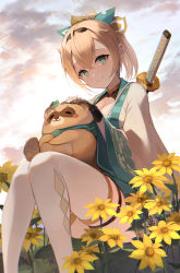 Rule 34 | 1girl, animal, animal on lap, blonde hair, breasts, chest sarashi, cleavage, closed mouth, cloud, cowengium, crossed bangs, flower, green eyes, haori, headpat, highres, hololive, japanese clothes, katana, kazama iroha, kimono, long hair, looking at viewer, medium breasts, on lap, outdoors, pokobee, ponytail, sarashi, sitting, sky, smile, sunflower, sword, thigh strap, thighhighs, virtual youtuber, weapon, weapon on back, white kimono, white thighhighs, wide sleeves