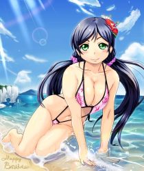 Rule 34 | 10s, 1girl, beach, bikini, black hair, breasts, cleavage, day, flower, furyouhin (bubumelon), green eyes, hair flower, hair ornament, happy birthday, large breasts, long hair, looking at viewer, love live!, love live! school idol festival, love live! school idol project, navel, ocean, scrunchie, slingshot swimsuit, smile, solo, sunburst, swimsuit, tojo nozomi, twintails
