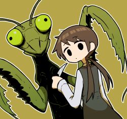 Rule 34 | 1girl, antennae, brown background, brown hair, bug, closed mouth, commentary, dot mouth, dress, from behind, grey dress, hand up, highres, holding, holding knife, knife, long hair, long sleeves, looking at viewer, looking back, low twintails, mob face, monster, no sclera, original, outline, praying mantis, shirt, simple background, sleeves past wrists, takurada, translated, twintails, upper body, white outline, white shirt, white sleeves
