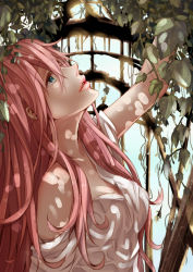 Rule 34 | 1girl, absurdres, arm up, bad id, bad pixiv id, blue eyes, blurry, dappled sunlight, depth of field, highres, lips, long hair, looking up, masami chie, megurine luka, off shoulder, parted lips, pink hair, plant, profile, solo, sunlight, upper body, vines, vocaloid, window