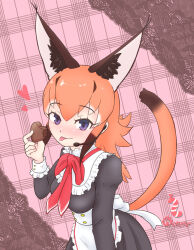 Rule 34 | 1girl, animal ears, apron, blue eyes, caracal (kemono friends), caracal ears, chocolate, extra ears, heart, highres, kemono friends, kemono friends v project, long hair, looking at viewer, maid, maid apron, microphone, nokemono-san (bocchi friend), orange hair, simple background, solo, tail, tongue, valentine, virtual youtuber